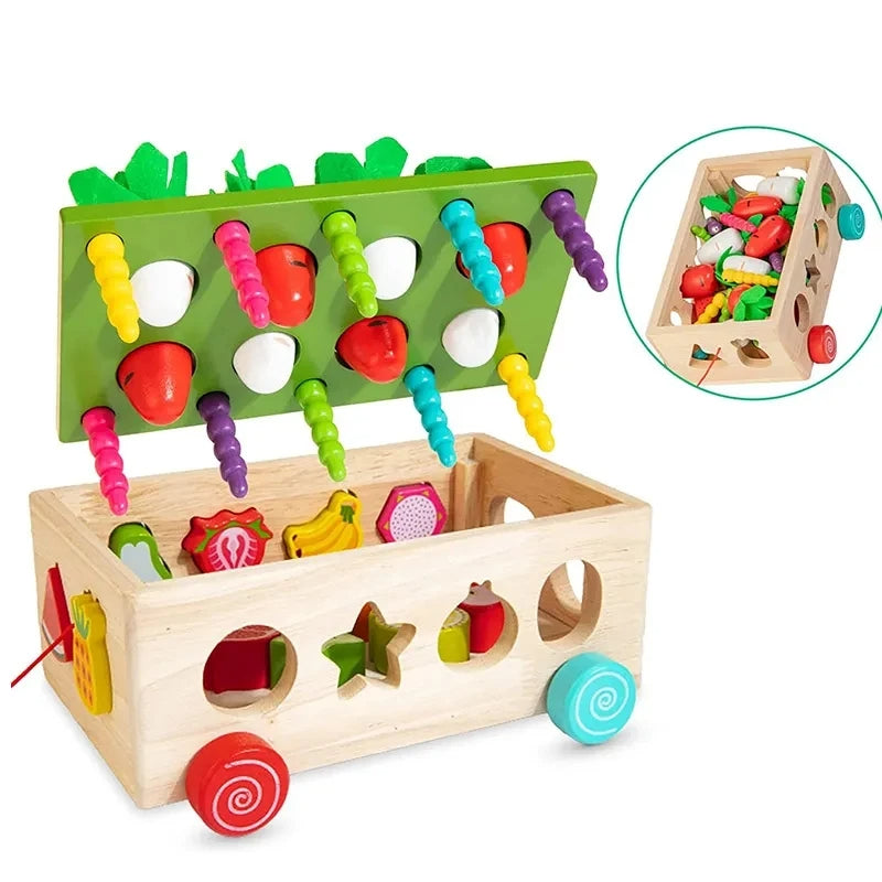 Montessori Garden Toy
