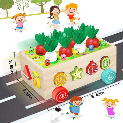 Montessori Garden Toy